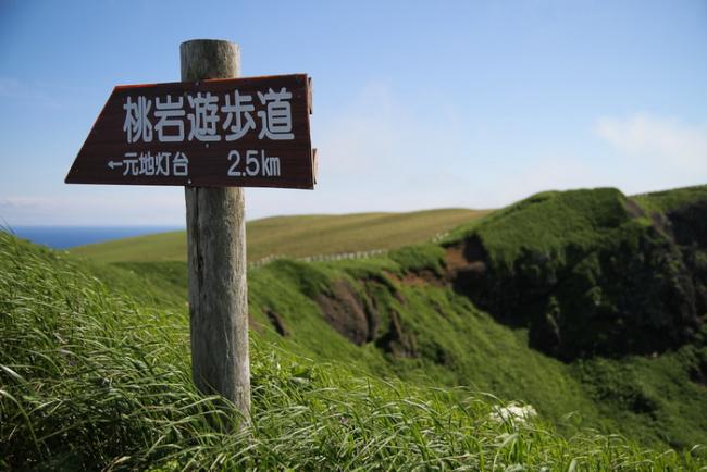RESIZE-56_resize.jpg